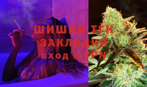 ешки Арсеньев