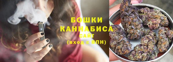 ешки Арсеньев