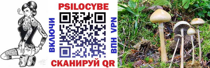 Псилоцибиновые грибы GOLDEN TEACHER  Урюпинск 